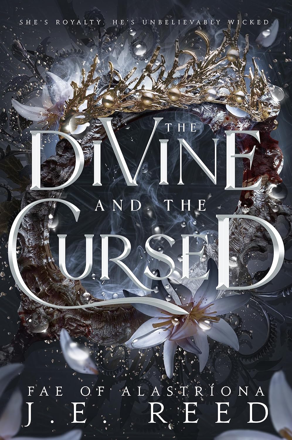 Review: The Divine and the Cursed by J.E. Reed